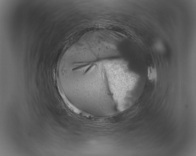 X0000082151155200702092144