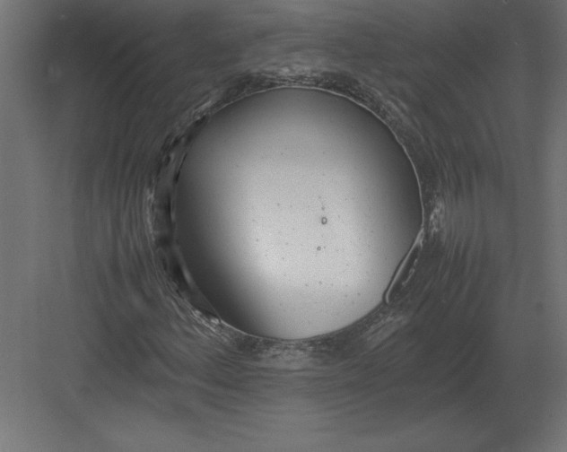 X0000082151156200702092144