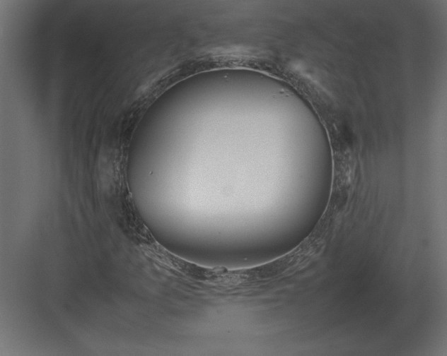 X0000082151157200702092144