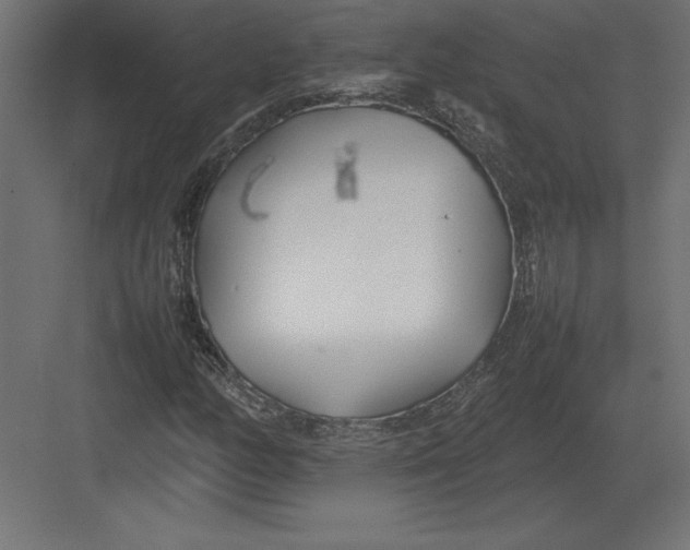 X0000082151158200702092143