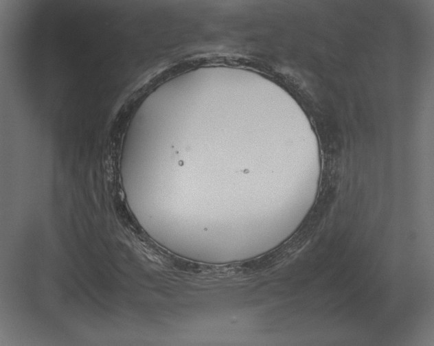 X0000082151159200702092143