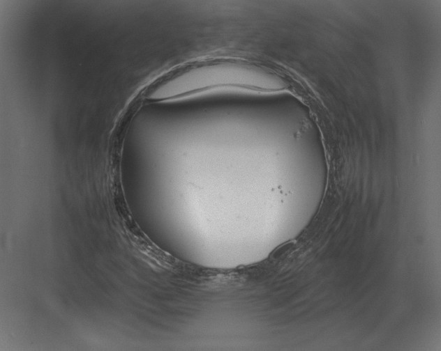 X0000082151160200702092143