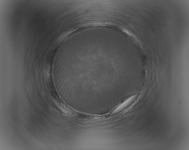 X0000082151161200702092143