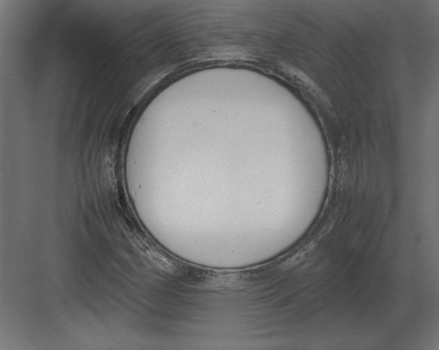 X0000082151162200702092143