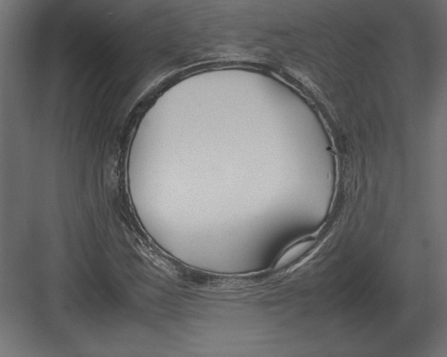 X0000082151163200702092143