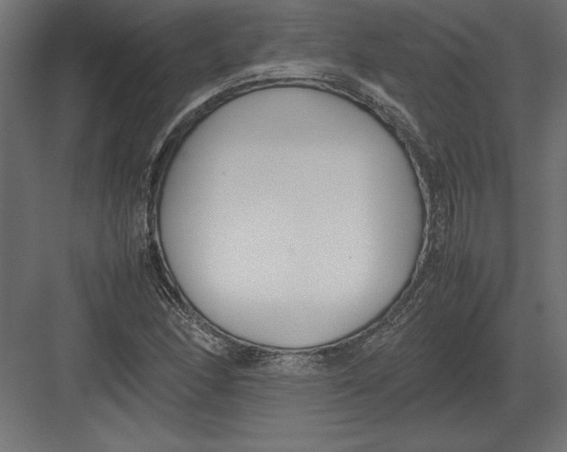 X0000082151166200702092143