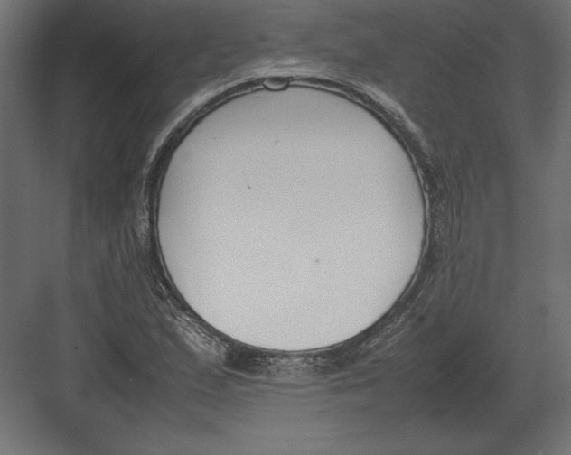 X0000082151167200702092143