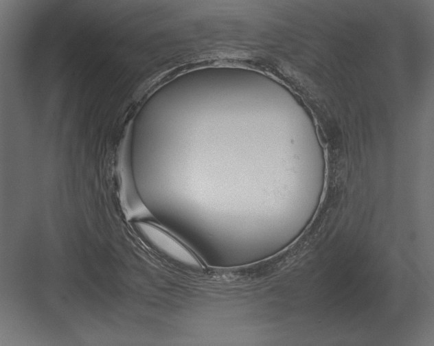 X0000082151169200702092143