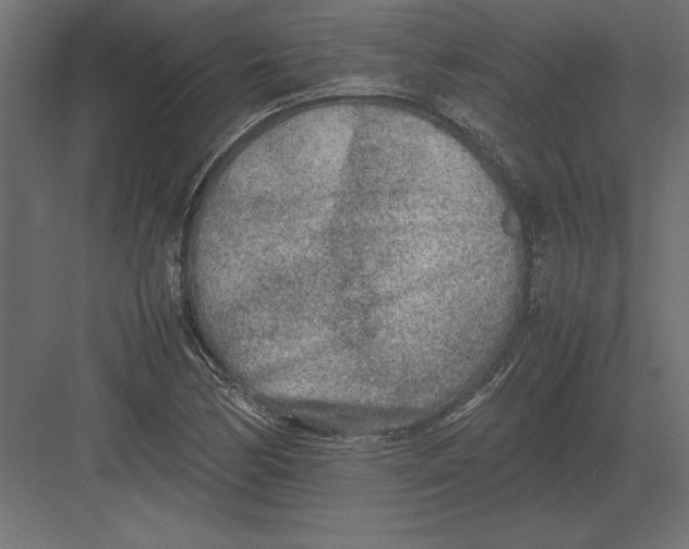 X0000082151170200702092143