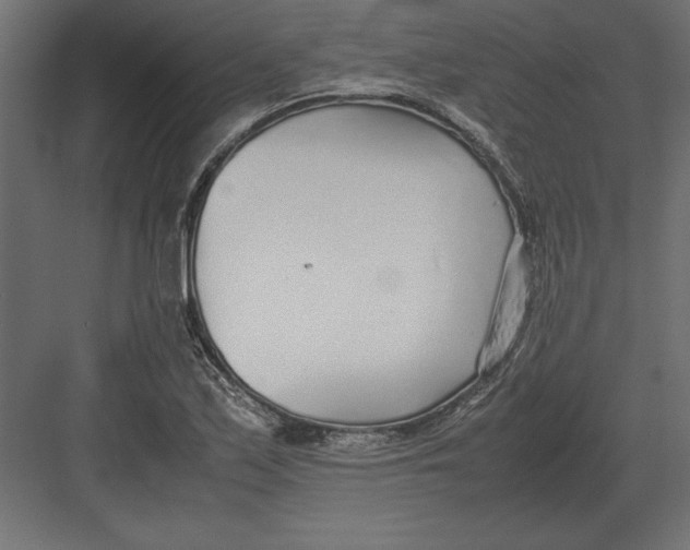 X0000082151171200702092143