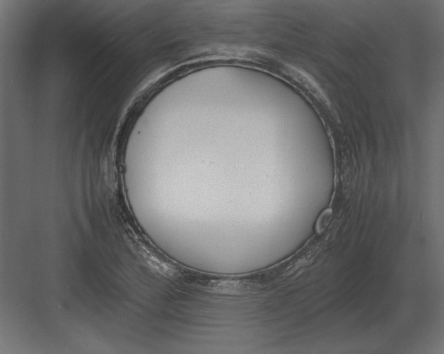 X0000082151172200702092143