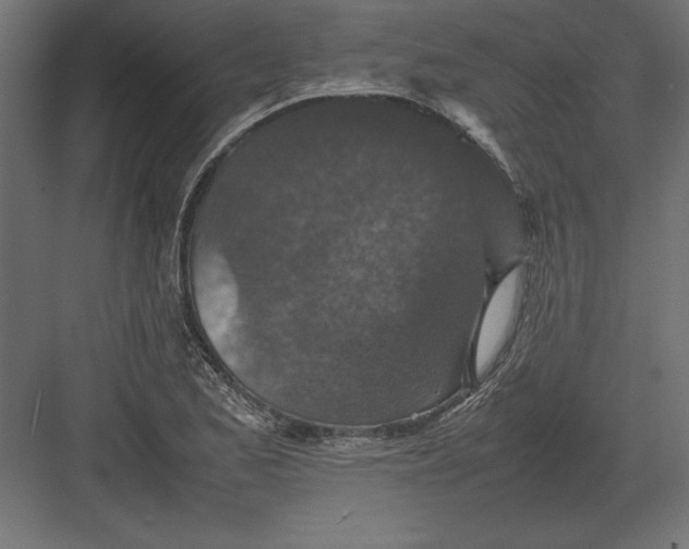 X0000082151173200702092143