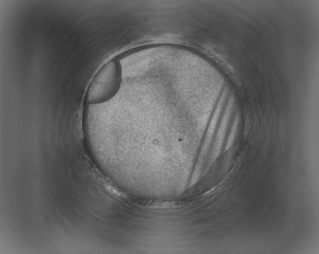 X0000082151174200702092143