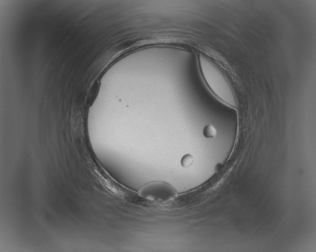 X0000082151177200702092143