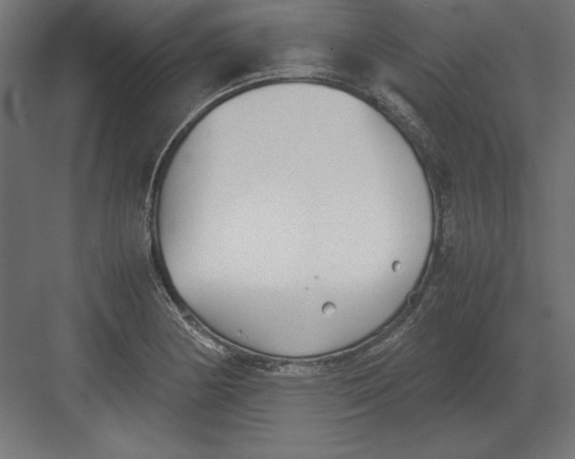 X0000082151178200702092143