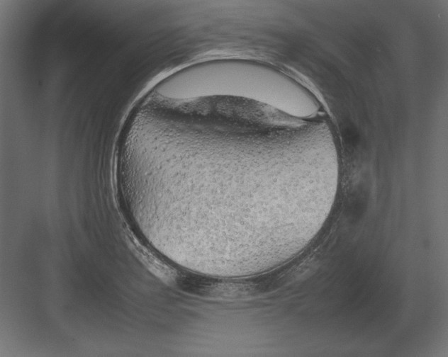 X0000082151179200702092143