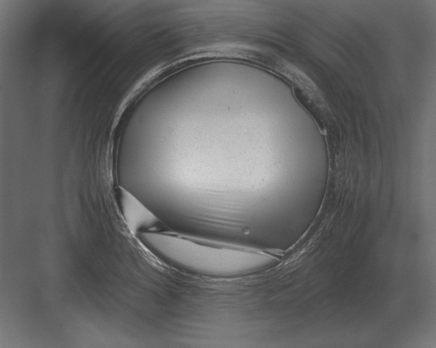 X0000082151180200702092143