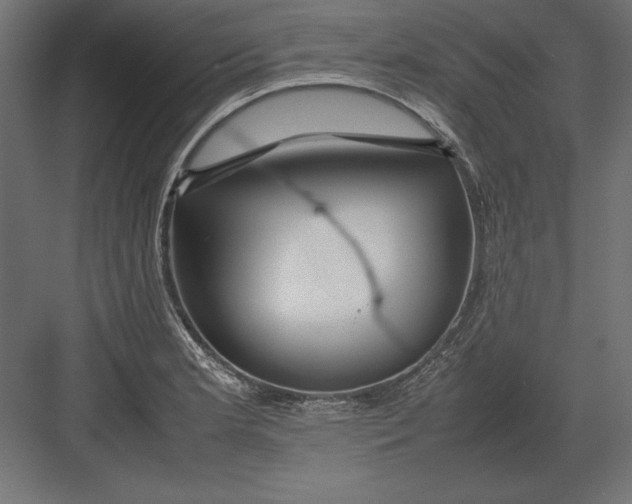 X0000082151181200702092143