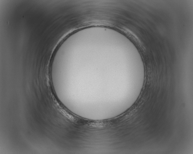 X0000082151182200702092143