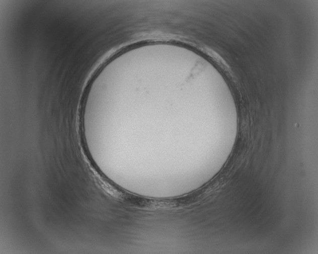 X0000082151183200702092143