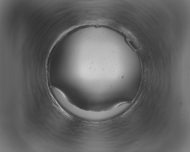 X0000082151184200702092143