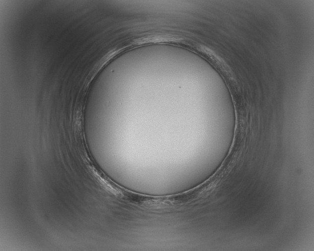 X0000082151185200702092143