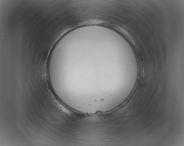 X0000082151186200702092143