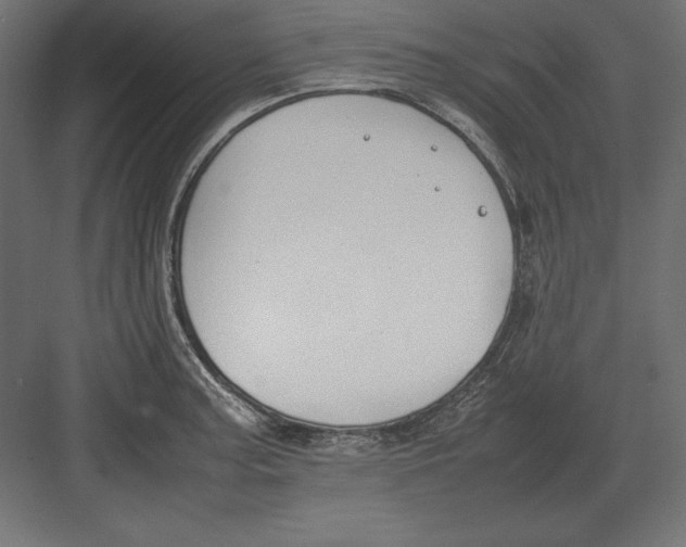 X0000082151187200702092143