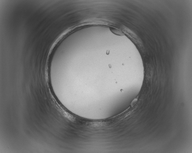 X0000082151188200702092143