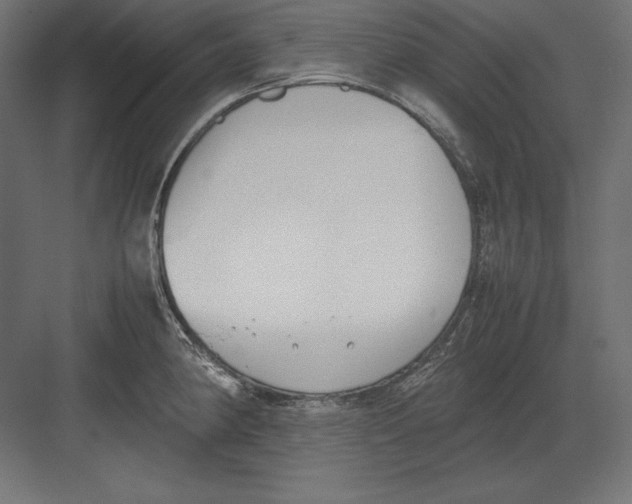 X0000082151190200702092143