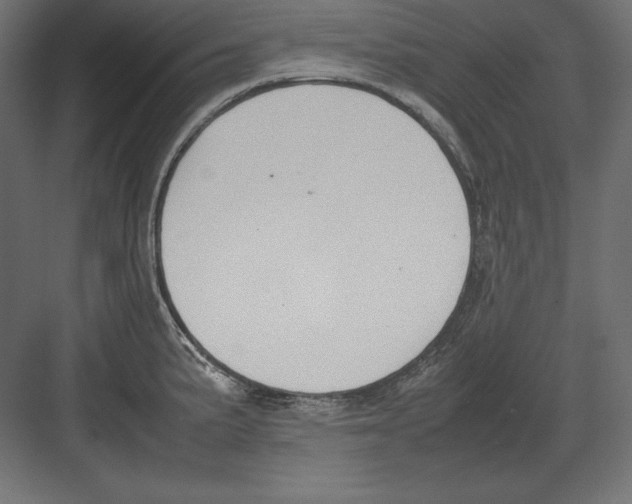 X0000082151191200702092143