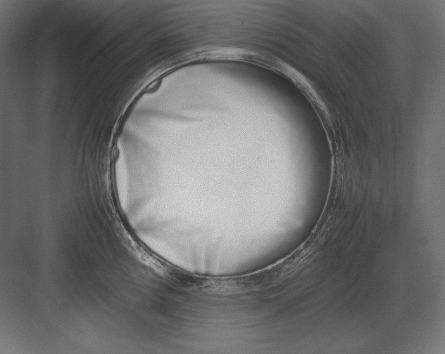 X0000082151194200702092143