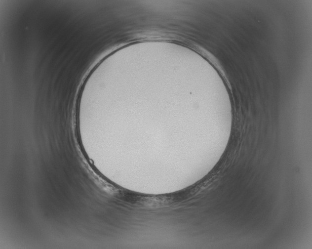 X0000082151195200702092143