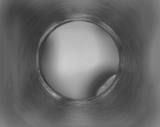 X0000082151196200702092143