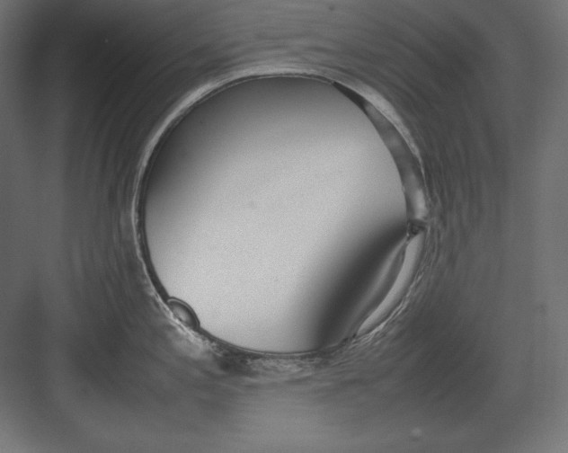 X0000082151197200702092143