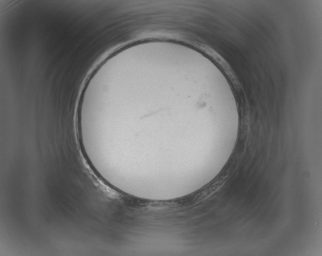 X0000082151199200702092143