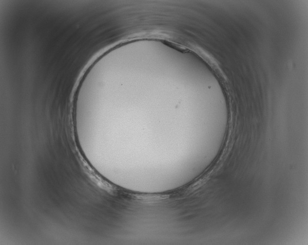 X0000082151200200702092143