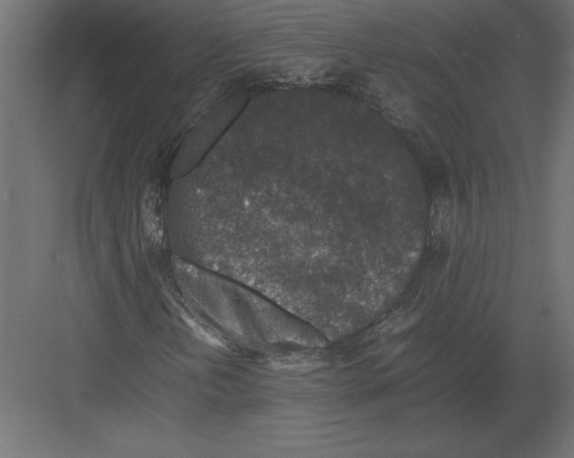 X0000082151202200702092142