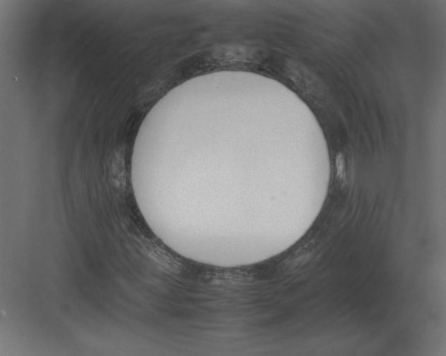 X0000082151203200702092142