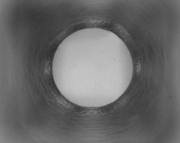 X0000082151204200702092142