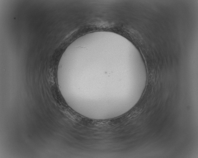 X0000082151205200702092142