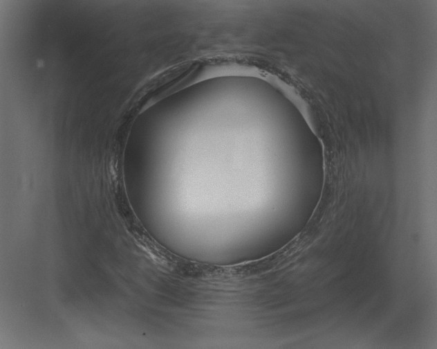 X0000082151206200702092142