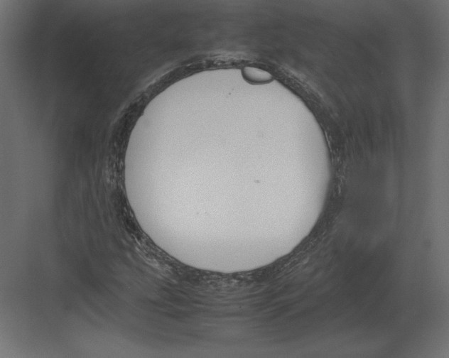 X0000082151207200702092142