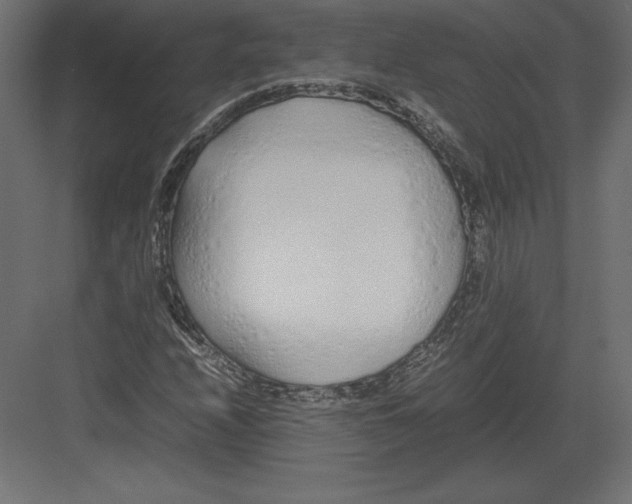 X0000082151208200702092142