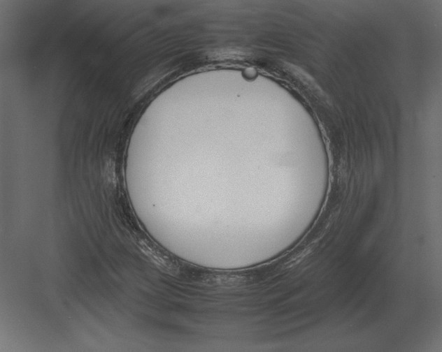 X0000082151209200702092142