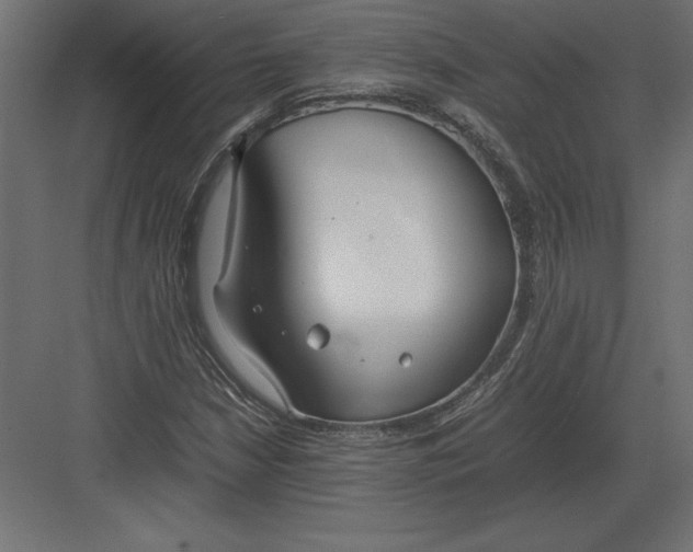 X0000082151210200702092142