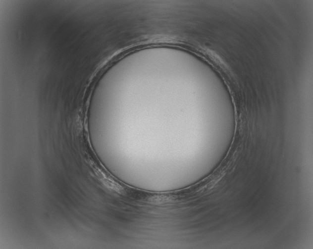 X0000082151212200702092142