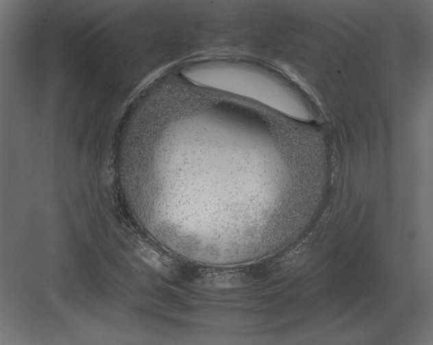 X0000082151213200702092142