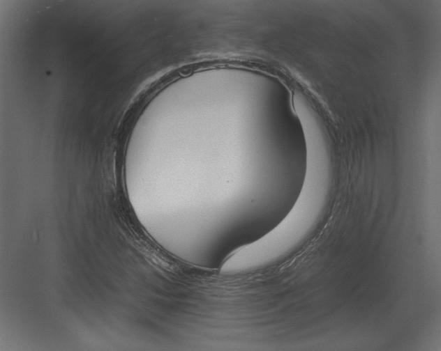 X0000082151214200702092142