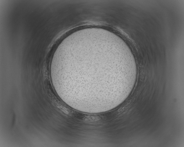 X0000082151215200702092142